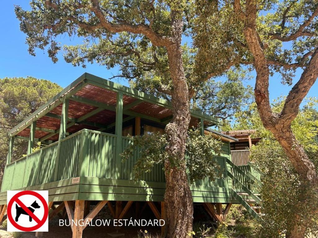 Camping Cala Pola Tossa de Mar Exteriér fotografie